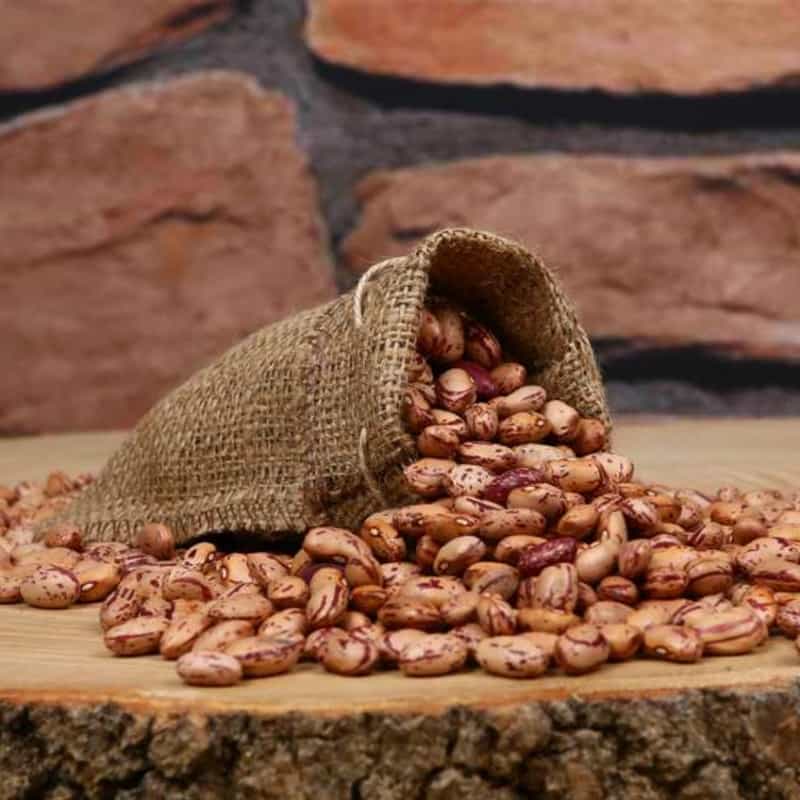 لوبیا چیتی
